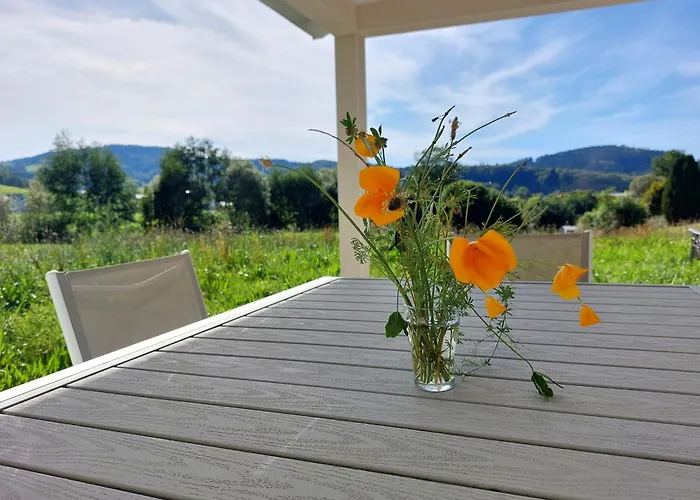 Modern Vosges Getaway Prázdninový dům Laveline