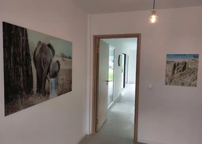 Modern Vosges Getaway